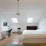 Kamer van 500 m² in brussels