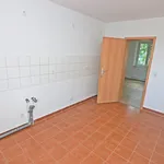 Rent 2 bedroom apartment of 54 m² in Chemnitz