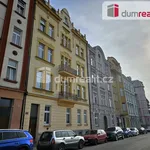 Rent 2 bedroom apartment of 50 m² in Plzeň