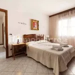 Rent 3 bedroom apartment of 50 m² in Bologna