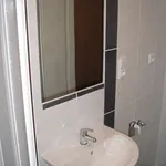 Rent 2 bedroom apartment of 50 m² in Plzeň