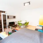 Rent 1 bedroom apartment of 474 m² in vienna