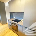 Rent 3 bedroom apartment of 70 m² in Linz