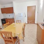 Rent 2 bedroom apartment of 48 m² in Pomezia