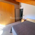 Rent 3 bedroom house of 100 m² in Turin