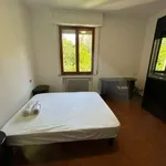 Rent 5 bedroom apartment of 130 m² in Siena