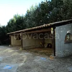 Affitto 4 camera appartamento di 110 m² in Caltagirone