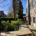 Rent 4 bedroom house of 240 m² in Bolsward