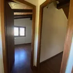 Rent 5 bedroom house of 120 m² in Roma