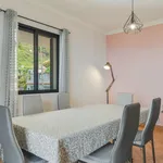 Rent 3 bedroom apartment of 200 m² in Santa Cruz