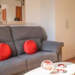 Rent 1 bedroom apartment in madrid