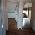 Rent 3 bedroom apartment of 80 m² in Rome