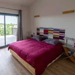 Maison de 300 m² avec 7 chambre(s) en location à Pechbonnieu