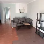 Rent 1 bedroom house in Soweto