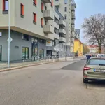 Pronajměte si 2 ložnic/e byt o rozloze 39 m² v Liberec