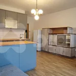 Rent 4 bedroom apartment of 91 m² in Chýně