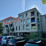 Rent 1 bedroom apartment in Herentals