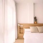 Rent 1 bedroom apartment in valencia