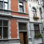 Rent 1 bedroom apartment in Liège