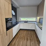 Rent 5 bedroom apartment of 110 m² in MIERZYN 