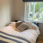 Rent a room of 2500 m² in dublin