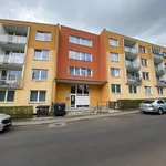 Rent 1 bedroom apartment in Teplice