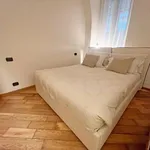 Rent 1 bedroom apartment of 55 m² in torino