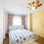 Rent 2 bedroom apartment in valencia