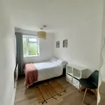 Rent 1 bedroom apartment in Stafford