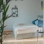 Rent 1 bedroom apartment of 35 m² in Dresden