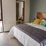 Rent 2 bedroom apartment in Guanajuato