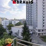 Pronajměte si 1 ložnic/e byt o rozloze 35 m² v Brno