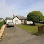 Detached bungalow to rent in Wethersfield Road, Finchingfield, Braintree CM7