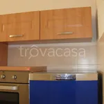 Rent 3 bedroom apartment of 80 m² in Ancona