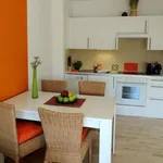 Rent 1 bedroom apartment of 40 m² in Maria Enzersdorf