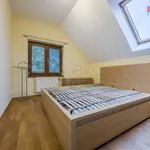 Rent 1 bedroom house of 120 m² in Radějovice