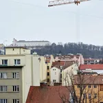 Rent 1 bedroom apartment in Brno