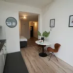 Huur 1 slaapkamer appartement van 50 m² in Cool