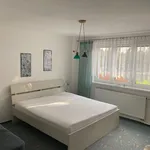 Rent 1 bedroom house in Jindřichův Hradec