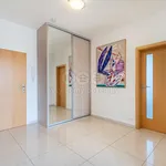 Rent 2 bedroom apartment of 80 m² in Plzeň