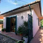 Rent 5 bedroom house of 150 m² in Capalbio