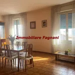 Rent 3 bedroom apartment of 100 m² in Velletri