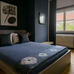 Rent 2 bedroom apartment of 50 m² in Berlin