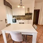 Rent 3 bedroom apartment of 96 m² in Lecce