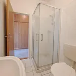 Rent 1 bedroom apartment in Opava