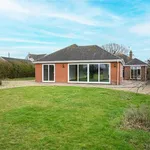 Detached bungalow to rent in Kennel Loke, Gorleston, Great Yarmouth NR31