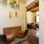 Rent 2 bedroom apartment of 50 m² in Firenze