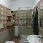 Rent 2 bedroom apartment of 50 m² in Viterbo