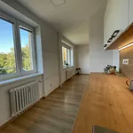 Rent 1 bedroom apartment in Ostrava