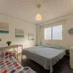 Rent a room in valencia